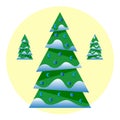 A set of Christmas trees in the snow Royalty Free Stock Photo